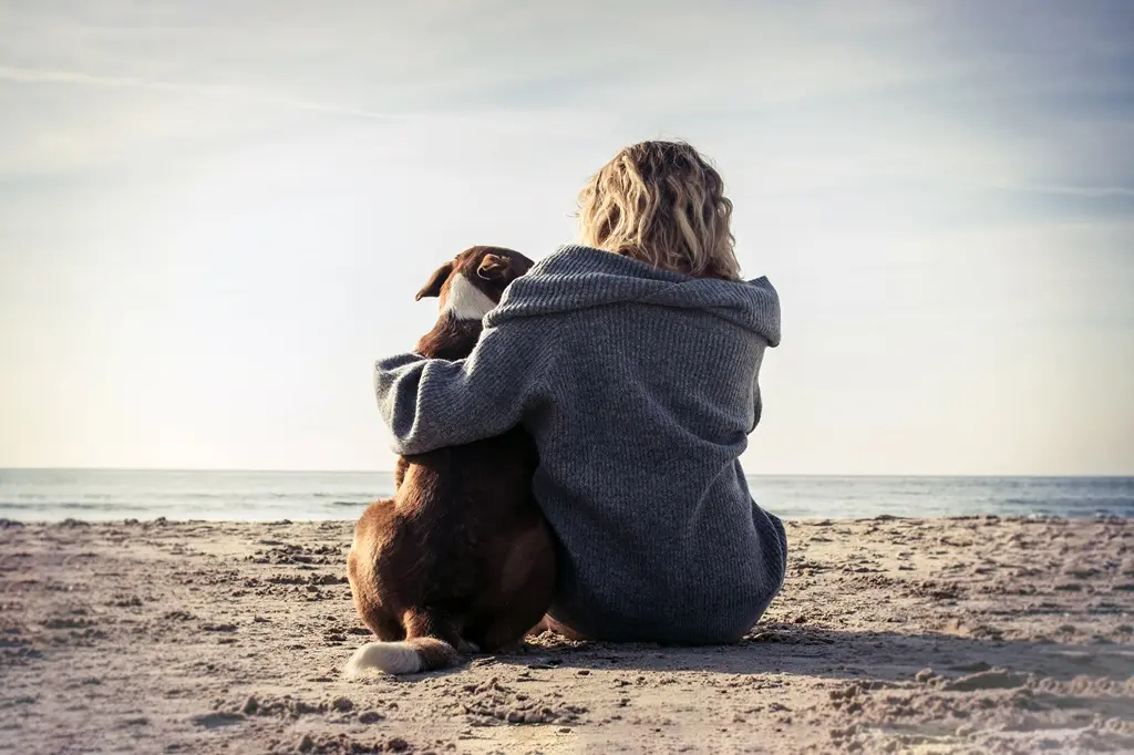 Vet on the road home pet euthanasia quiet beach image web dog and owner spending time at Terrigal