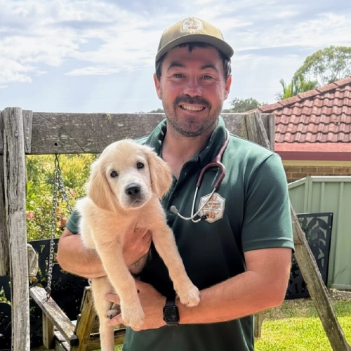 Dr Tom Quilty mobile vet wyoming Dr Tom Quilty mobile vet wyoming