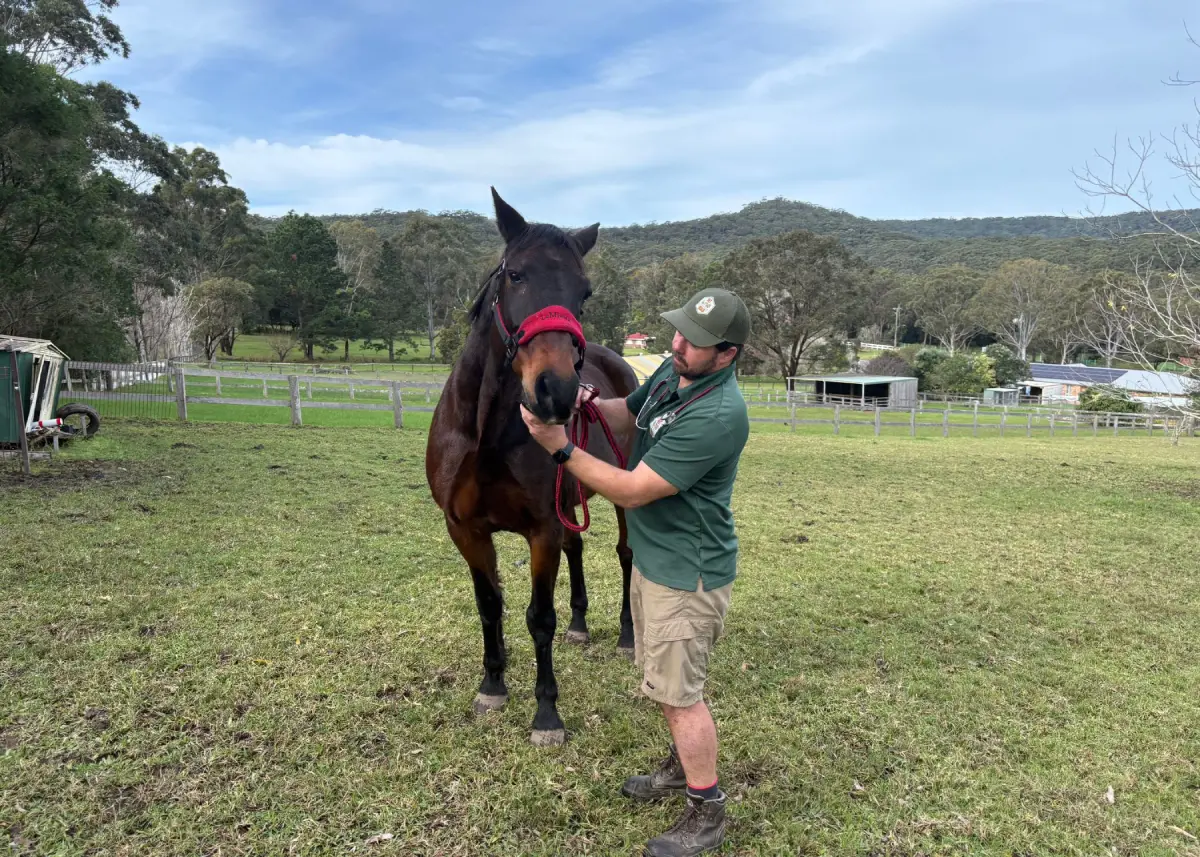 Dr Tom Quilty Equine Veterinarian Vet on the Road mobile vet arriving at a Central Coast property for a horse colic callout